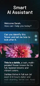 AI Chatbot - Nova screenshot 2