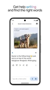 Google Gemini screenshot 5