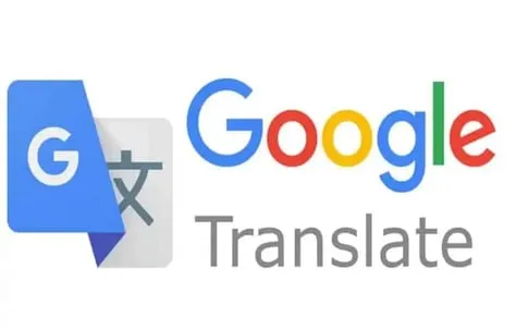 Google Translate screenshot 1