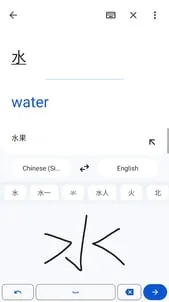 Google Translate screenshot 5