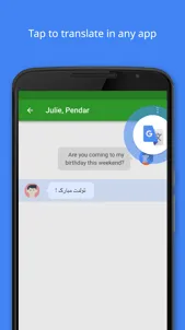 Google Translate screenshot 2