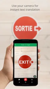 Google Translate screenshot 3