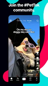 TikTok screenshot 3